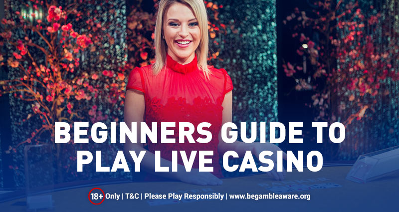 Beginners Guide to Play Live Casino