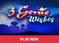 3 Genie Wishes