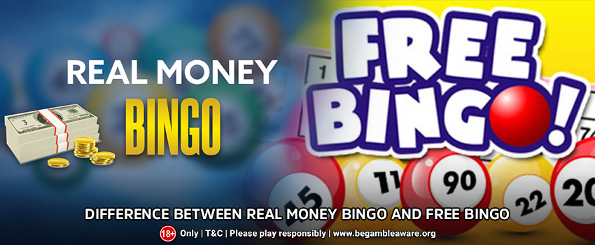Difference Between Real Money Bingo And Free Bingo