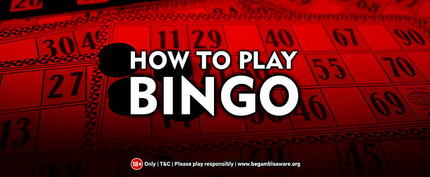 A Beginner's Approach to Bingo