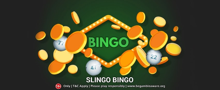 Understanding the Game: Slingo Bingo